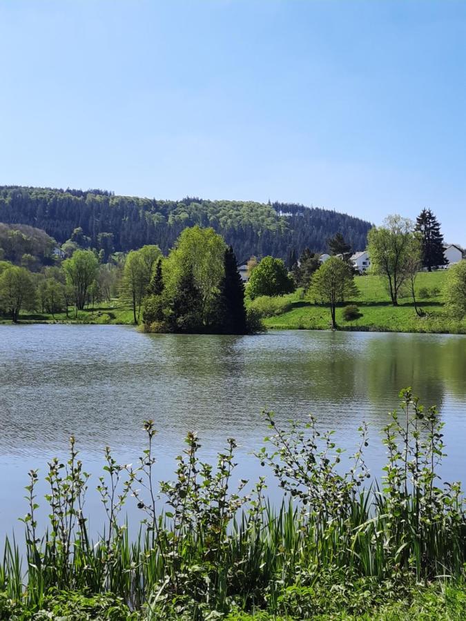 Meisters Schick Im Stryck Willingen Willingen  Zewnętrze zdjęcie